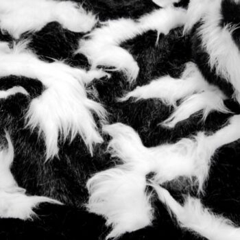 skunk7