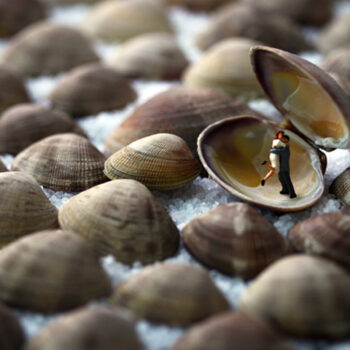 Christopher Boffoli Clamshell Lovers, 2011 Lambda C-print, Available in various sizes