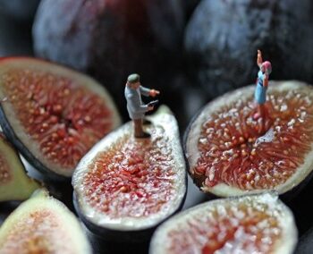 Christopher Boffoli, Fig Robbery, 2011, Lambda C-print, Available in various sizes