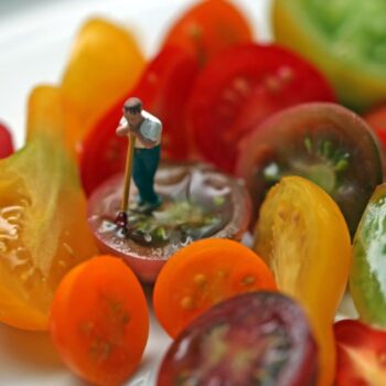 Christopher Boffoli, Heirloom Regrets, 2011, Lambda C-print, Available in various sizes