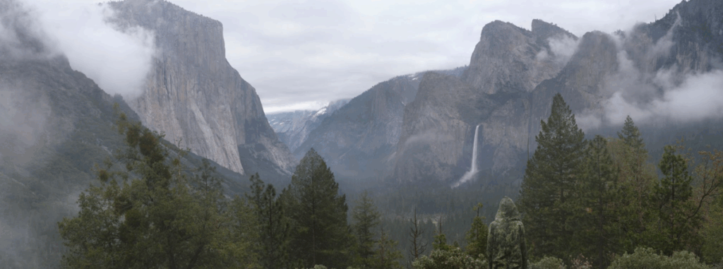 Margeaux Walter Tunnel View , 2025 C-Print Edition of 3, 2APS 24 x 72 inches
