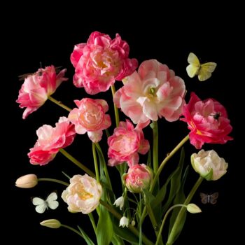 Tulips from the garden