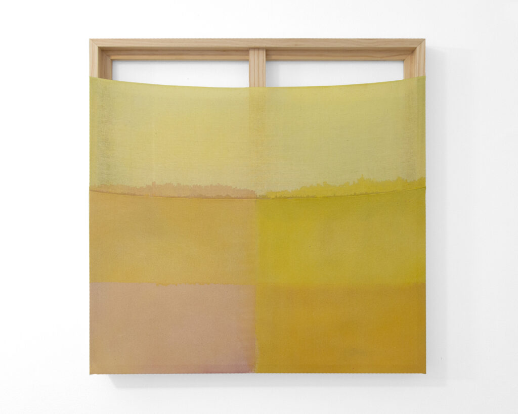 Jinie Park Moth, 2022 Acrylic on sewn Kwangmok (Korean muslin) and Sambe (Korean linen) 30 x 30 inches