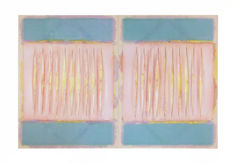 Jinie Park, Like a Sea of Magnolia, 2026 Acrylic on sewn Kwangmok (Korean muslin), and Sambe (Korean linen) 48 x 72 inches