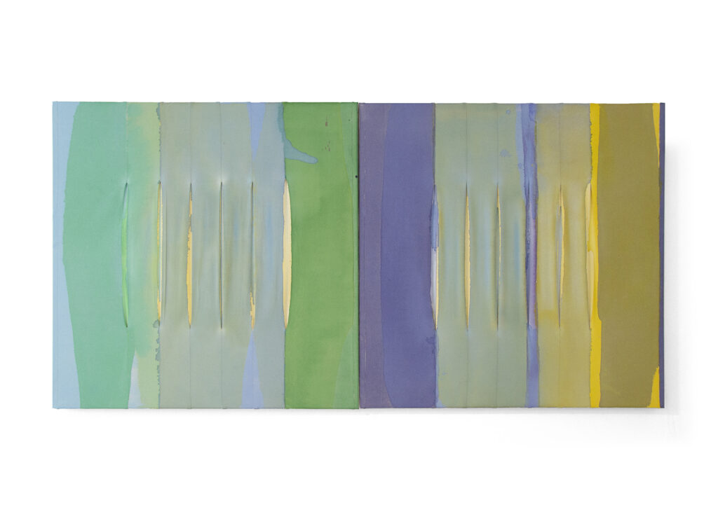 Jinie Park, Twins, 2026, Acrylic on sewn Kwangmok (Korean muslin), 36 x 72 inches