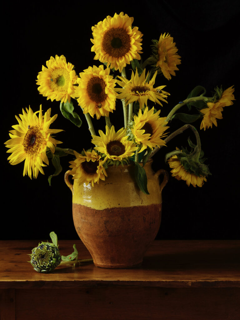 Paulette Tavormina, Sunflowers After V.V.G., 2025, Archival pigment print, Available in various sizes