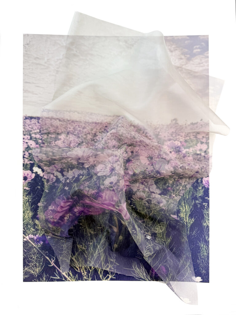 Lucia Engstrom, Cosmos, 2026, Voile in plexi box, 31 x 25 x 5 1/2 inches